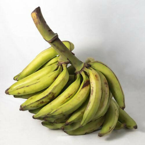 Plátanos verdes